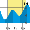 Blaine tide chart for Thursday, August 14, 2025
