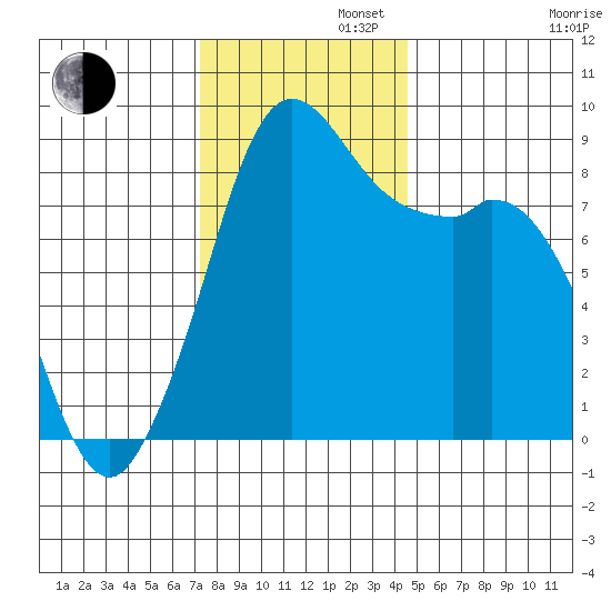 Blaine tide chart for Tuesday, November 11, 2025