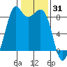 Blaine tide chart for Saturday, January 31, 2026