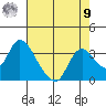Steamboat Slough tide chart for Saturday, August 9, 2025