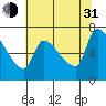 Stella tide chart for Saturday, July 31, 2021