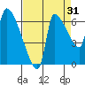 Stella tide chart for Saturday, August 31, 2024