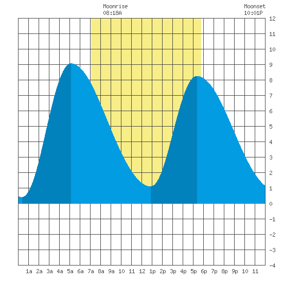 Stella tide chart for Friday, February 20, 2026