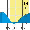 Steller Cove tide chart for Wednesday, August 14, 2024