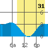 Steller Cove tide chart for Saturday, August 31, 2024