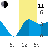 Steller Cove tide chart for Tuesday, November 11, 2025