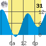 Sulzer tide chart for Sunday, May 31, 2026
