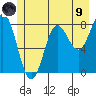 Surge Bay tide chart for Friday, July 9, 2021