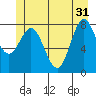 Surge Bay tide chart for Friday, May 31, 2024