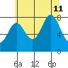 Surge Bay tide chart for Sunday, August 11, 2024