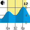 Surge Bay tide chart for Monday, August 12, 2024