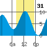 Surge Bay tide chart for Thursday, October 31, 2024