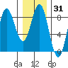 Surge Bay tide chart for Friday, January 31, 2025