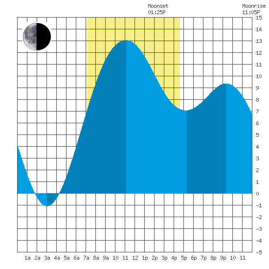 Tacoma Narrows tide chart for Tuesday, November 11, 2025