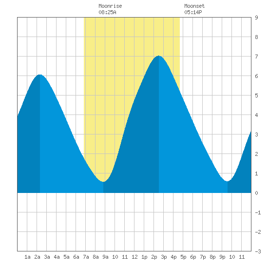 Tacony-Palmyra Bridge tide chart for Friday, November 21, 2025