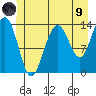 Tiger Olsen Cabin tide chart for Friday, July 9, 2021