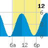 The Cove tide chart for Tuesday, August 12, 2025