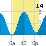 The Cove tide chart for Thursday, August 14, 2025