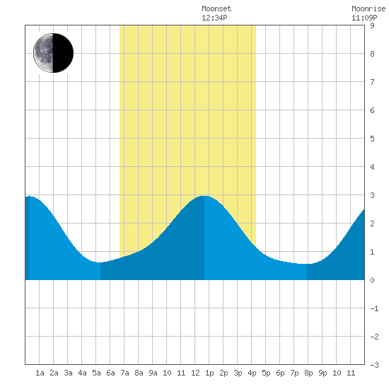 Fogland Beach tide chart for Friday, November 22, 2024