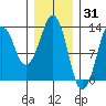 The Summit tide chart for Saturday, January 31, 2026