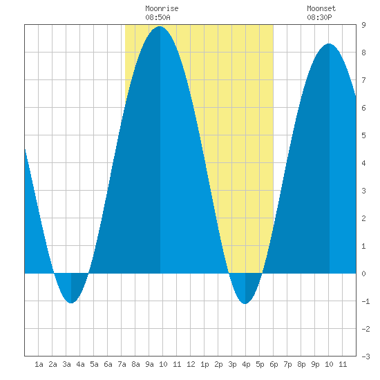 Thunderbolt tide chart for Friday, January 31, 2025
