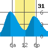 Tillamook tide chart for Wednesday, January 31, 2024