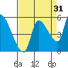 Tillamook tide chart for Saturday, August 31, 2024