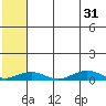 Tin City tide chart for Wednesday, July 31, 2024