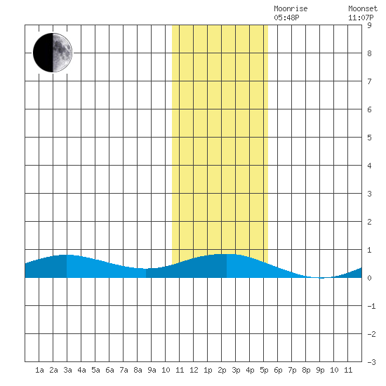 Tin City tide chart for Friday, November 8, 2024