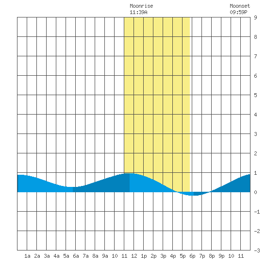 Tin City tide chart for Friday, January 31, 2025