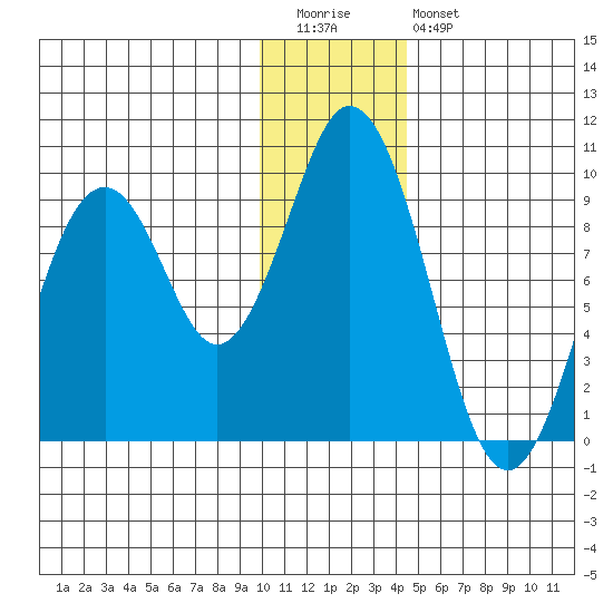 Tonki Bay tide chart for Tuesday, December 31, 2024