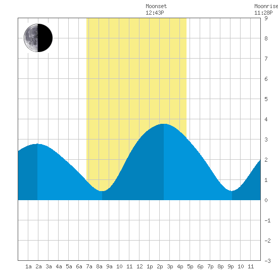 Tuckahoe tide chart for Friday, November 22, 2024