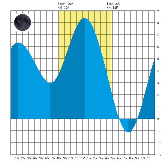 Twin Beach tide chart for Tuesday, January 12, 2021