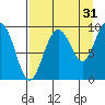 Two Arm Bay tide chart for Saturday, August 31, 2024