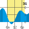 Bodega Bay tide chart for Saturday, May 31, 2025