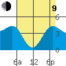 Bodega Bay tide chart for Saturday, May 9, 2026