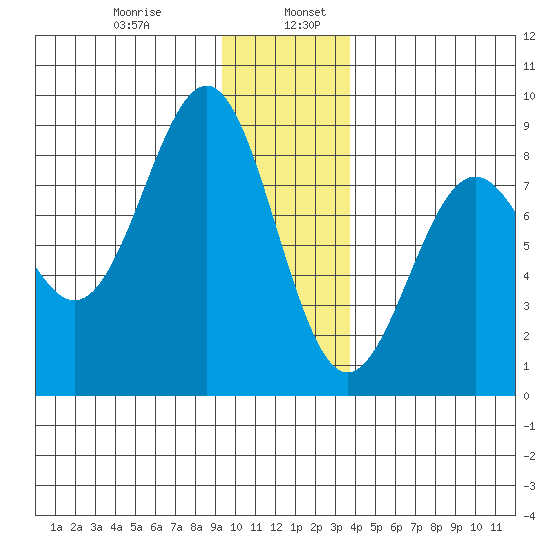 Tyndall Glacier tide chart for Friday, January 8, 2021