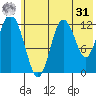 Village Islands tide chart for Sunday, May 31, 2026