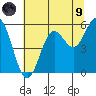 Wedderburn tide chart for Friday, July 9, 2021