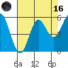 Wedderburn tide chart for Wednesday, August 16, 2023