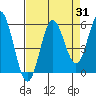 Wedderburn tide chart for Thursday, August 31, 2023