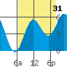 Wedderburn tide chart for Saturday, August 31, 2024