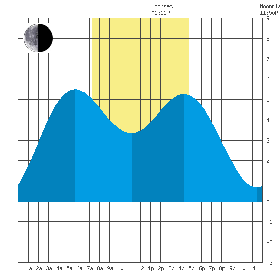 Wedderburn tide chart for Friday, November 22, 2024