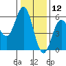 Wedderburn tide chart for Thursday, December 12, 2024