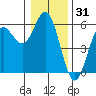 Wedderburn tide chart for Tuesday, December 31, 2024
