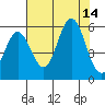 Wedderburn tide chart for Thursday, August 14, 2025