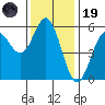 Wedderburn tide chart for Wednesday, November 19, 2025
