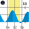 Safe Harbor tide chart for Thursday, January 11, 2024
