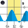 Safe Harbor tide chart for Friday, February 9, 2024