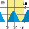 Safe Harbor tide chart for Monday, August 19, 2024